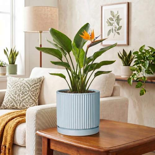 Ceramic Planter, 8 Inch Flower Pots, Round Plant Pot, Light Blue - Image 6