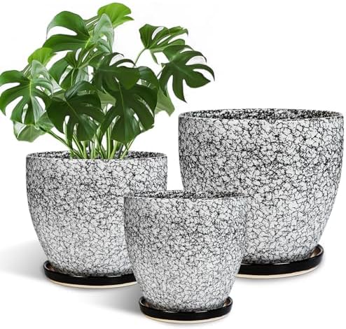 Ceramic Pots for Plants - 10+8+6 Inch Round Flower Pots with Drainage Holes and Saucers, Decorative Planters for Indoor Outdoor, Porch Decor, Housewarming Gifts, Set of 3, White-Black by EPFamily