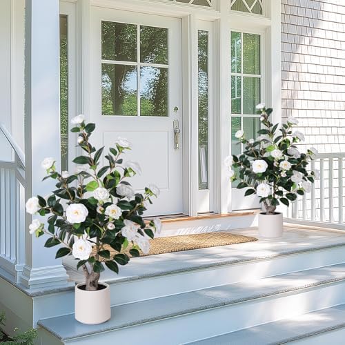 Yepdin 2 pcs Pack Artificial Camellia Tree with White Planter - 39 inch Tall Fake Tree,3.2 Ft Artificial Plants Indoor & Outdoor Housewarming Gift by Yepdin