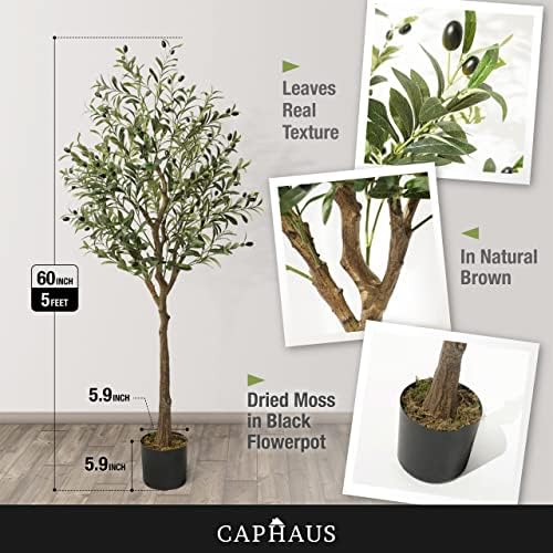CAPHAUS 5 Feet, 60 Inch, Artificial Olive Tree, Faux Plant in Pot, Faux Olive Branch and Fruit, Fake Potted Topiary Tree with Dried Moss for Indoor Home Office Modern Housewarming Decoration Gift - Image 2