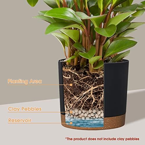 kubvici Plant Pots for Indoor Plants, 2 Pack 8 Inch Flower Pot (8” Black) - Image 4