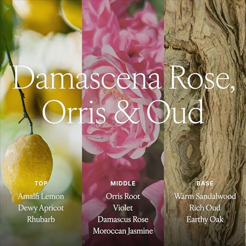 Antica Farmacista Reed Diffuser, Damascena Rose, Orris & Oud, 16.9 fl oz - Image 4