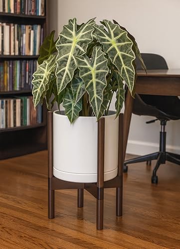 D'vine Dev Ceramic Pot with Walnut Wood Stand, Oatmeal, 10 in, 55-B-X-8 - Image 4