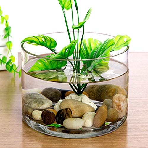 WGV Cylinder Vase, Width 10", Height 8", Clear Wide Large Diameter Flower Glassware, Floral Container, Planter Terrarium for Wedding Party Event, Home Accent Decor, 1 Piece - Image 6