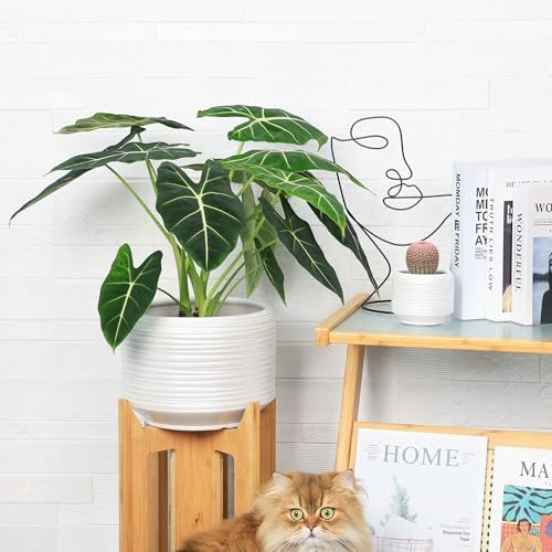10 Inch Ceramic Plant Pot with Drainage – Large Flower Pot for Indoor Outdoor Plants, Modern Decorative Planter for Patio, Balcony, Garden, or Home Decor - Image 3