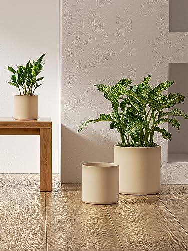 LE TAUCI 10+8+6 Inch Ceramic Pots for Plants, Indoor Planters with Drainage Hole and Plug, Modern Cylinder Flower Pots Set of 3 for Living Room and Bedroom, Glossy, Sand Beige - Image 4