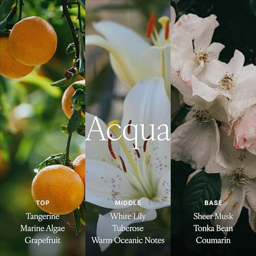 Antica Farmacista Reed Diffuser, Acqua, 16.9 fl oz - Image 4