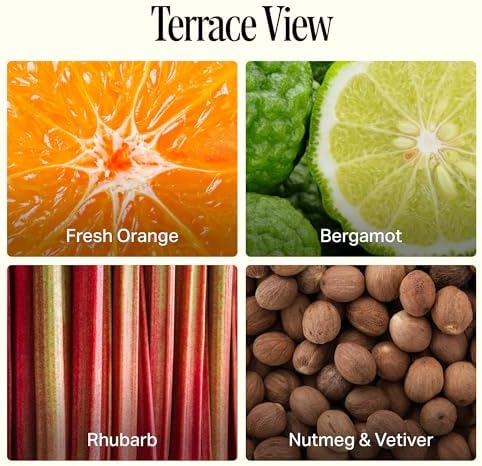 Preston Lane Extra Large Scented Candle 72oz, 4-Wick Soy - Terrace View - Image 4