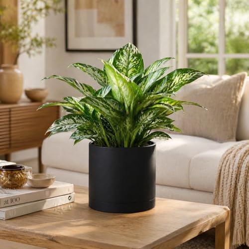 Giraffe Creation 12 Inch Cylinder Plant Pot, Modern Round Planter with Drainage Holes and Saucer, Lightweight Plastic Flower Pot for Indoor Outdoor Plants, Black - Image 6
