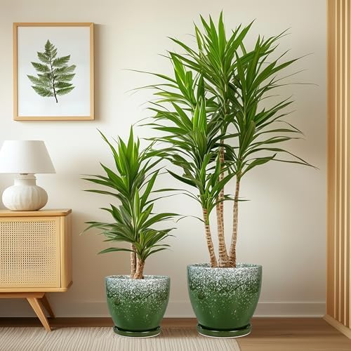 Ceramic Planters 3 Pack - 10 Inch 8 Inch 6 Inch Plant Pots for Indoor Outdoor, Round Decorative Flower Pots with Drainage Holes and Saucers, Garden Home Decor, Gift for Women Men, Green - Image 4