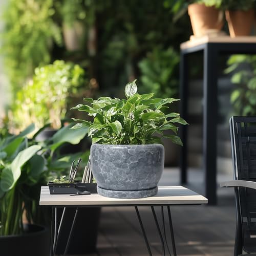 SQOWL 8 inch Plant pots Indoor - Ceramic Planter with Drainage Hole and Plant Saucer, Decorative Ceramic Flower Pot Outdoor, Modern Round Planter, Patio Porch Garden Decor, Garden Gifts, Gray - Image 5