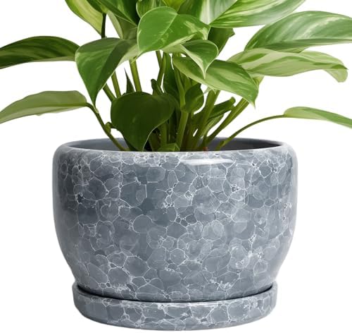 SQOWL 8 inch Plant pots Indoor - Ceramic Planter with Drainage Hole and Plant Saucer, Decorative Ceramic Flower Pot Outdoor, Modern Round Planter, Patio Porch Garden Decor, Garden Gifts, Gray by SQOWL