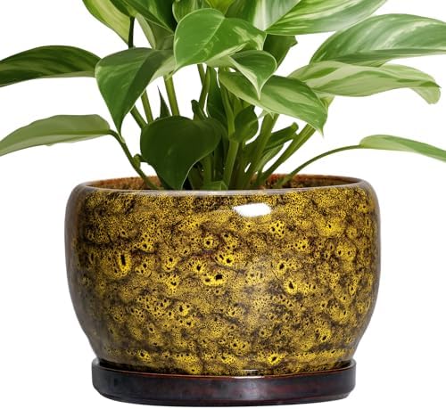 SQOWL Ceramic Flower Pots - 8 inch Ceramic Planter for Indoor Plants, Decorative Plant Pots with Drainage Hole and Saucer, Round Planter Outdoor, Porch Backyard Decor, Housewarming Gifts, Yellow by SQOWL
