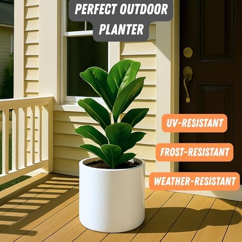 Fox & Fern Large Planter for Indoor or Outdoor, White Glossy, 10 Inch - Image 5