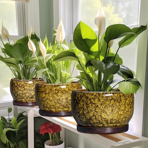 SQOWL 10 Inch Plant Pot - Ceramic Flower Pots with Drainage Hole and Saucer, Ceramic Planter for Indoor Plants Outdoor, Decorative Round Large Planter, House Decor, Gifts for Women Men, Yellow - Image 6