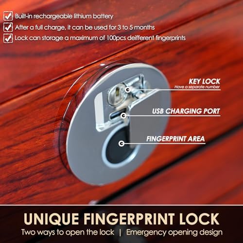 Wood Jewelry Box for Women, 3-layers Large Jewelry Storage Box&Organizer Fingerprint Lock, Drawers Full Locking, Mother Gifts (3L-RS) - Image 5
