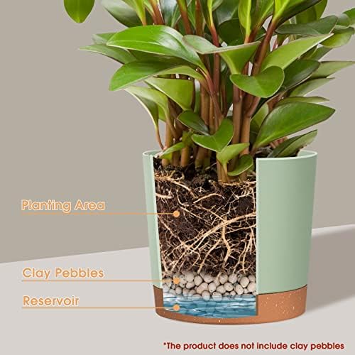 kubvici Indoor Plant Pots Set of 2 Planters 8 inch Plastic Planter with Hole & Saucer Modern Decorative for Outdoor Garden Home (Green, 8 inch) - Image 4