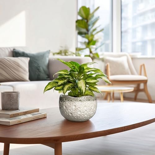 Ceramic Pots for Plants, 6 Inch Plant Pot Indoor, Beige-Grey - Image 6