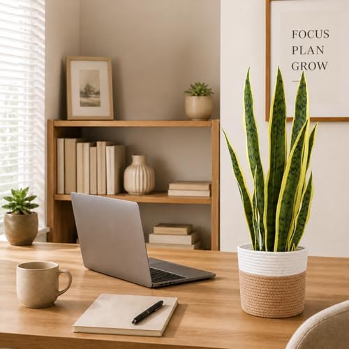 2PCS 22.5in Fake Snake Plant Golden Edged Sansevieria with Basket - Image 6