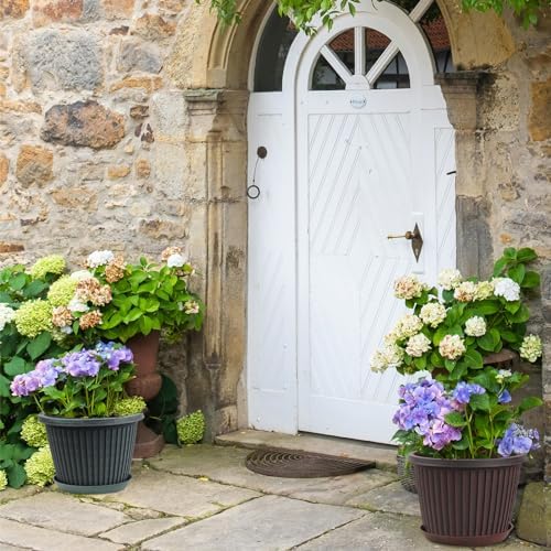 Large-Planter-Indoor-Outdoor Plant Pots, 12 inch 4 Pack Plastic Flower Pots with Saucer And Drainage Holes, Modern Garden Planters For Planting Medium Large Plants， Decorative Resin Garden Pots - Image 2