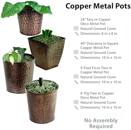 LCG Florals Set of 4 Ficus Trees in Copper Metal Pots with Real-Wood Trunks - Indoor and Outdoor Faux Plants for Patio, Living Rooms, Offices & Kitchens - Image 3