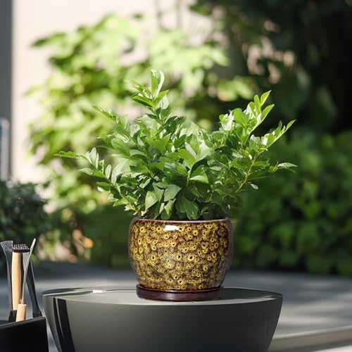 SQOWL 6 Inch Plant Pot - Ceramic Flower Pots with Drainage Hole and Saucer, Ceramic Planter for Indoor Plants Outdoor, Round Decorative Small Planter, Table Desk Decor, Housewarming Gifts, Yellow - Image 4