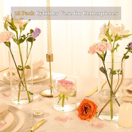 TBWIND 12pcs 8 Inch Clear Glass Cylinder Vases for Centerpieces - Image 2