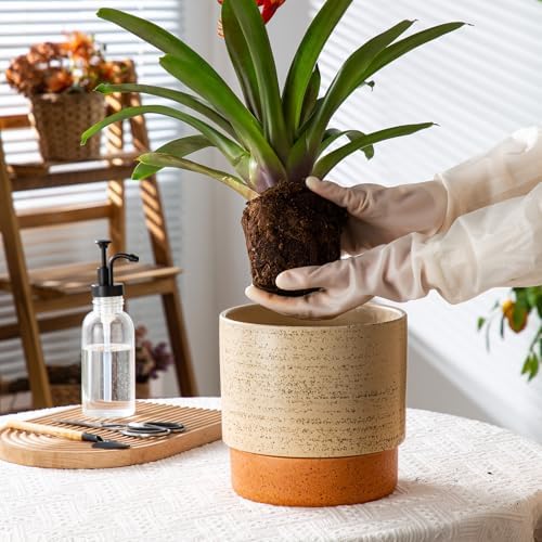 8 Inch Ceramic Self Watering Planter with Drainage Hole, Brush - Image 5