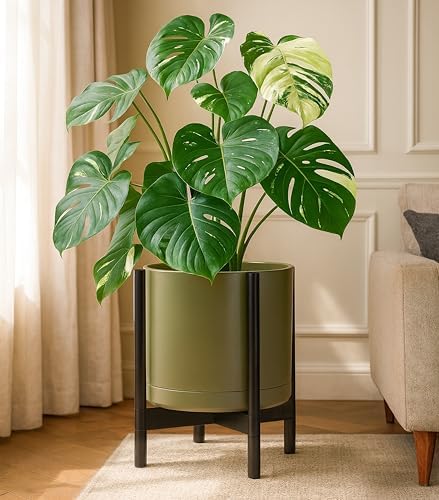 D'vine Dev Ceramic Pot with Ebony Wood Stand, Olive, 14 in, 55-B-S-J - Image 7