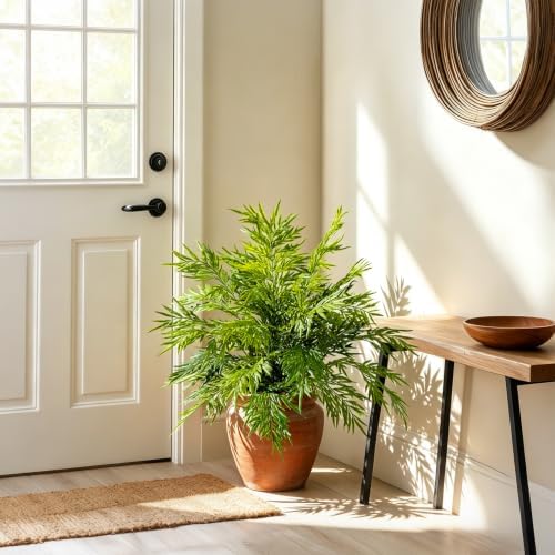 2 Pack Artificial Fern Plants in Pots Artificial Boston Ferns Potted Plants Faux Fern Bush Plant Shrubs Greenery for Outdoor Indoor Porch Patio Farmhouse Garden Living Room Office Table Decor (Type 3) - Image 6