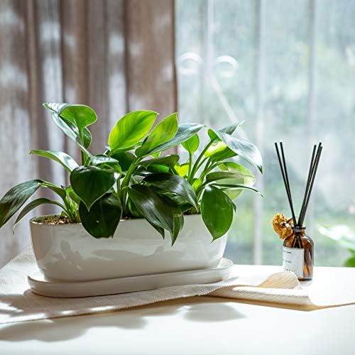 E-liu14 Inch Oval Ceramic Planter Pot with Drainage Hole Saucers - Image 7