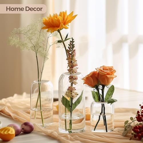 ComSaf Glass Bud Vases in Bulk, Clear Small Flower Vases, Set of 12 - Image 2