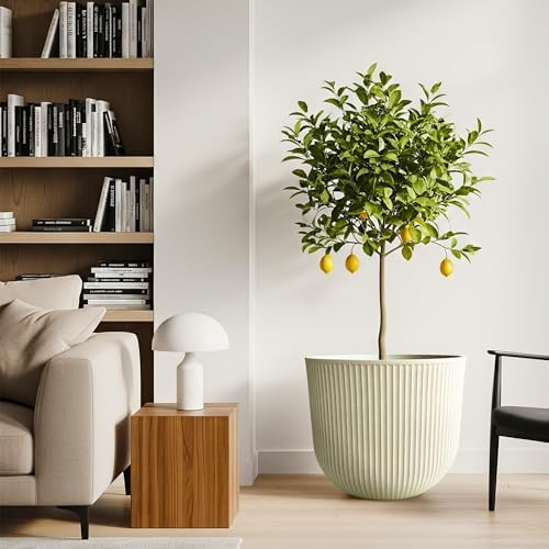 Worth Garden Round Large Planter Pot Set of 2-17.5" Dia x 15.5" H - Durable Plastic Beige Plant Tree Pots with Vertical Stripe Textured Finish, Drainage Hole for Indoor, Outdoor, Front Porch, Patio - Image 7