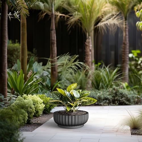 Kante Accent Round Shallow Black Concrete Planter 14.6" Dia, Outdoor - Image 3