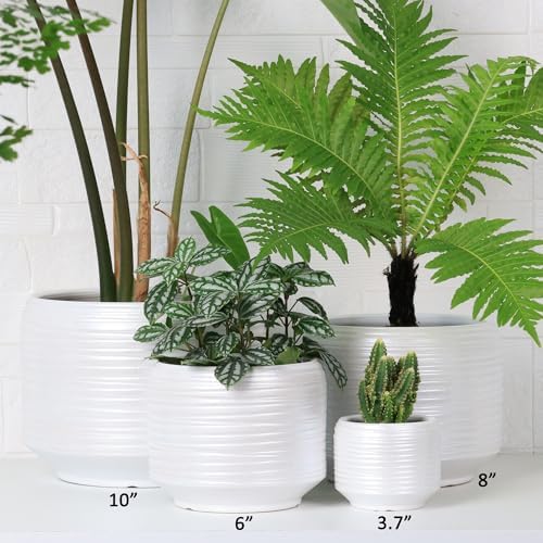 10 Inch Ceramic Plant Pot with Drainage – Large Flower Pot for Indoor Outdoor Plants, Modern Decorative Planter for Patio, Balcony, Garden, or Home Decor - Image 4