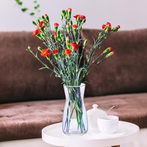 Thenshop 10 Pcs 8'' Tall Clear Glass Flower Vase for Bouquet, Neon Clear - Image 6