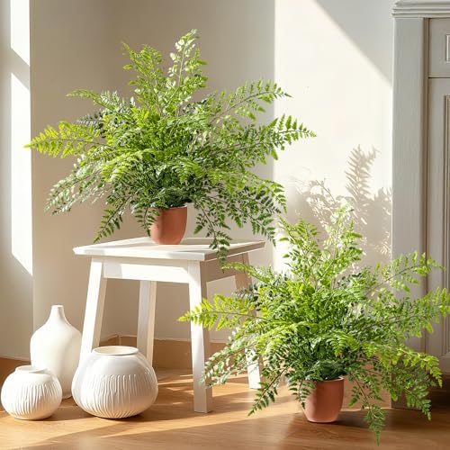 2 Pack Artificial Fern Plants in Pots Artificial Boston Ferns Potted Plants Faux Fern Bush Plant Shrubs Greenery for Outdoor Indoor Porch Patio Farmhouse Garden Living Room Office Table Decor (Type 2) by Yarmare