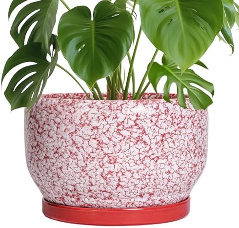 SQOWL Ceramic Planters for Indoor Plants - 10 Inch Flower Pots with Drainage Hole and Saucer, Decorative Ceramic Plant Pots, Round Large Planter Outdoor, Room Decor, Housewarming Gifts, Red and White by SQOWL