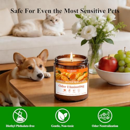 4-Pack Odor Eliminating Candles, 28 oz Soy Scented Candle - Image 5