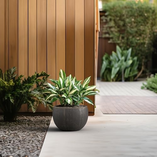 Kante Large Round Bowl Vintage BRN Concrete Planter 19.9" Dia, Outdoor - Image 5