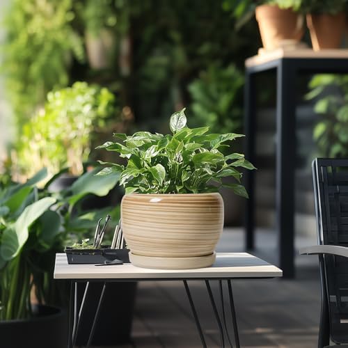 SQOWL Ceramic Planter- 8 Inch Plant Pot Indoor Outdoor, Round Planter with Drainage Hole and Plant Saucer, Decorative Modern Ceramic Flower Pot, Living Room Decor, Garden Gifts, Yellow - Image 5