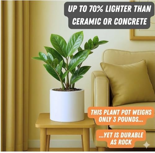 Fox & Fern Large Planter for Indoor or Outdoor, White Glossy, 8 Inch - Image 3