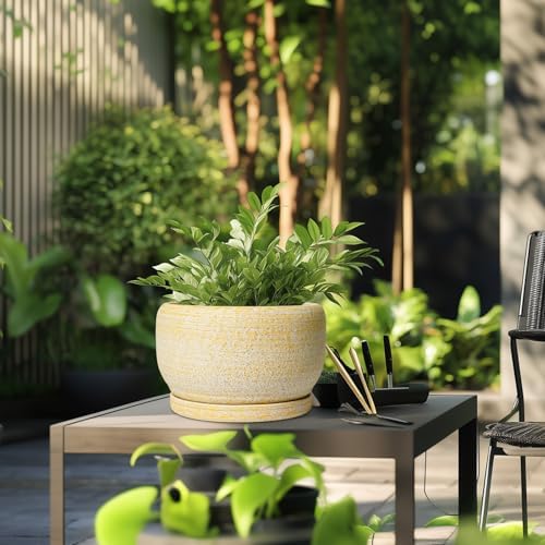 SQOWL Ceramic Planters for Indoor Plants - 10 Inch Plant Pot with Drainage Hole and Saucer, Round Ceramic Flower Pot Outdoor, Decorative Large Planter, Office Decor, Gifts for Women Men, Yellow - Image 5