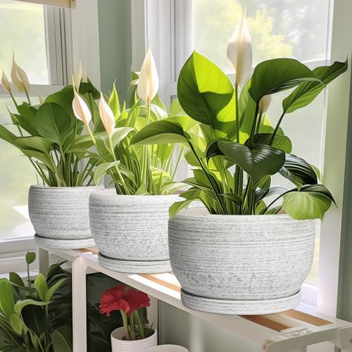 SQOWL Ceramic Flower Pots - 10 Inch Plant Pot Indoor with Drainage Hole and Saucer, Modern Ceramic Planter Outdoor, Decorative Large Round Planter, Bedroom Decor, Plant Lovers Gifts, Gray - Image 6