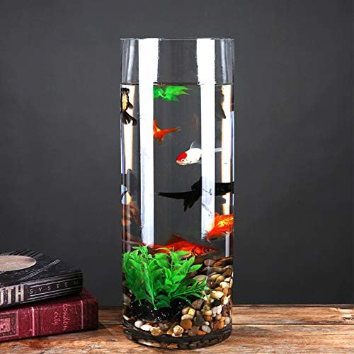 WGV Cylinder Vase Bulk, Width 7", Height 20", Clear Wide Large Diameter Flower Glassware, Floral Container, Planter Terrarium for Wedding Party Event, Home Accent Decor, 4 Pieces - Image 6