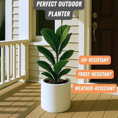 Fox & Fern Large Planter for Indoor or Outdoor, White Matte, 10 Inch - Image 5
