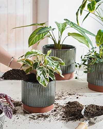 LE TAUCI Ceramic Plant Pots with Drainage Holes, Set of 3, 8+6.7+5.5 Inch Stripe Garden Planter Pots for Outdoor Indoor Plants Flower, Round Succulent Orchid Flower Pot, Reactive Glaze Black - Image 4