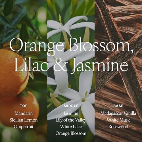 Antica Farmacista Reed Diffuser, Orange Blossom, Lilac & Jasmine, 3.4 fl oz - Image 4