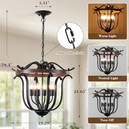 20" Black Farmhouse Chandelier for Dining Room 6 Light Cage Light Fixture - Image 2