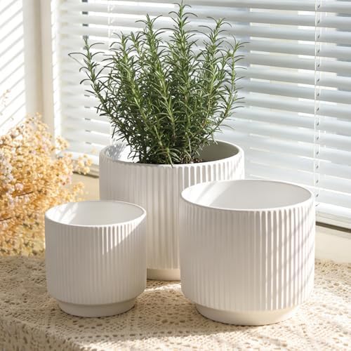 Oakrain Plant Pots Set of 3 with Vertical Stripes 7.8/6.5/5.2 inch, Modern Decorative Planters for Indoor Outdoor Plants, Garden Flower Pot with Drainage Holes, Ceramic White by Oakrain